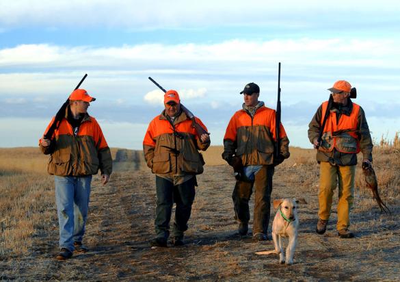 South Dakota Pheasant Hunting