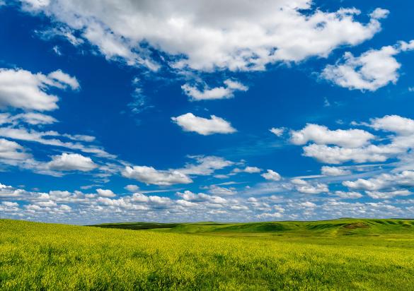 South Dakota prairie landscape