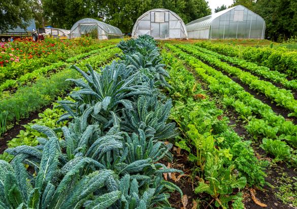 South Dakota Agritourism