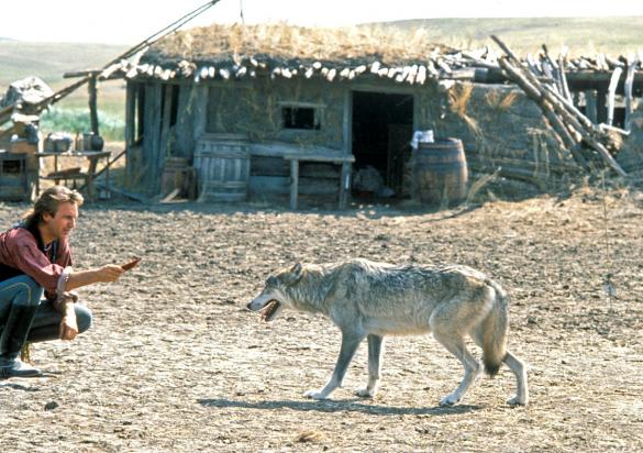 Dances With Wolves scene
