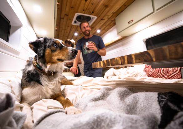 Dog and man in camper