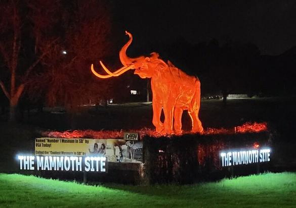 The Mammoth Site