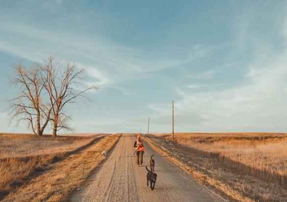 Pheasant hunting in South Dakota