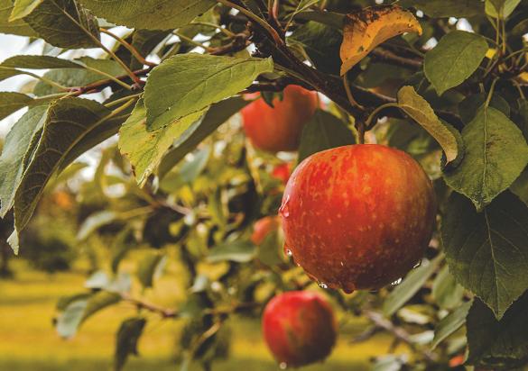 Agritourism in South Dakota