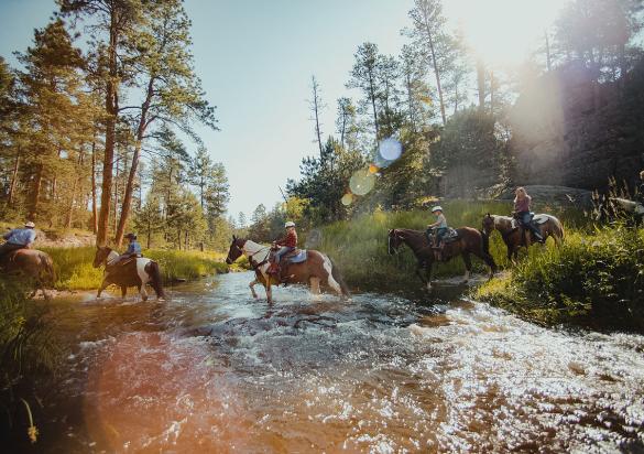 Horseback riding through the Black Hills of South Dakota