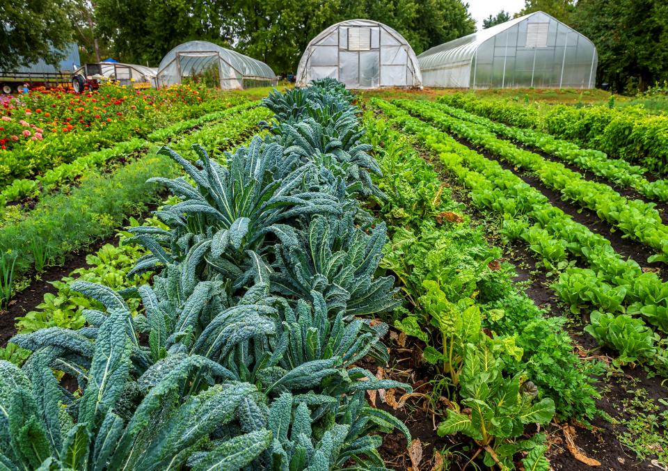 South Dakota Agritourism